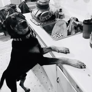 Meet your Posher, Gabby